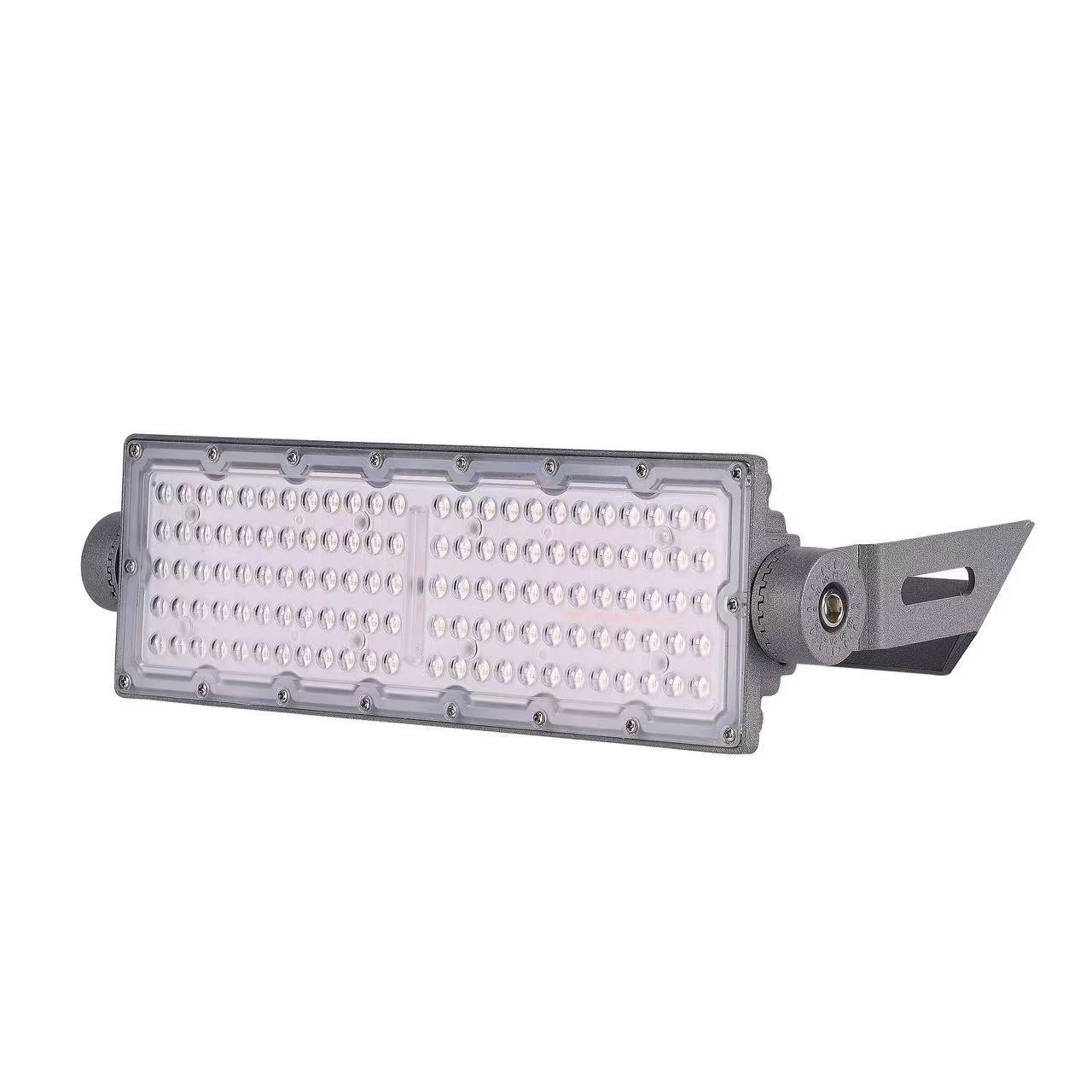 100W LED Modular Floodlight Platinum RN6 Range